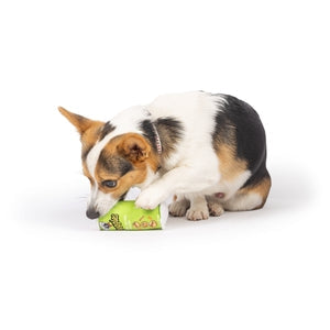 Image of a dog playing with a green dog toy in the shape of a can. 
