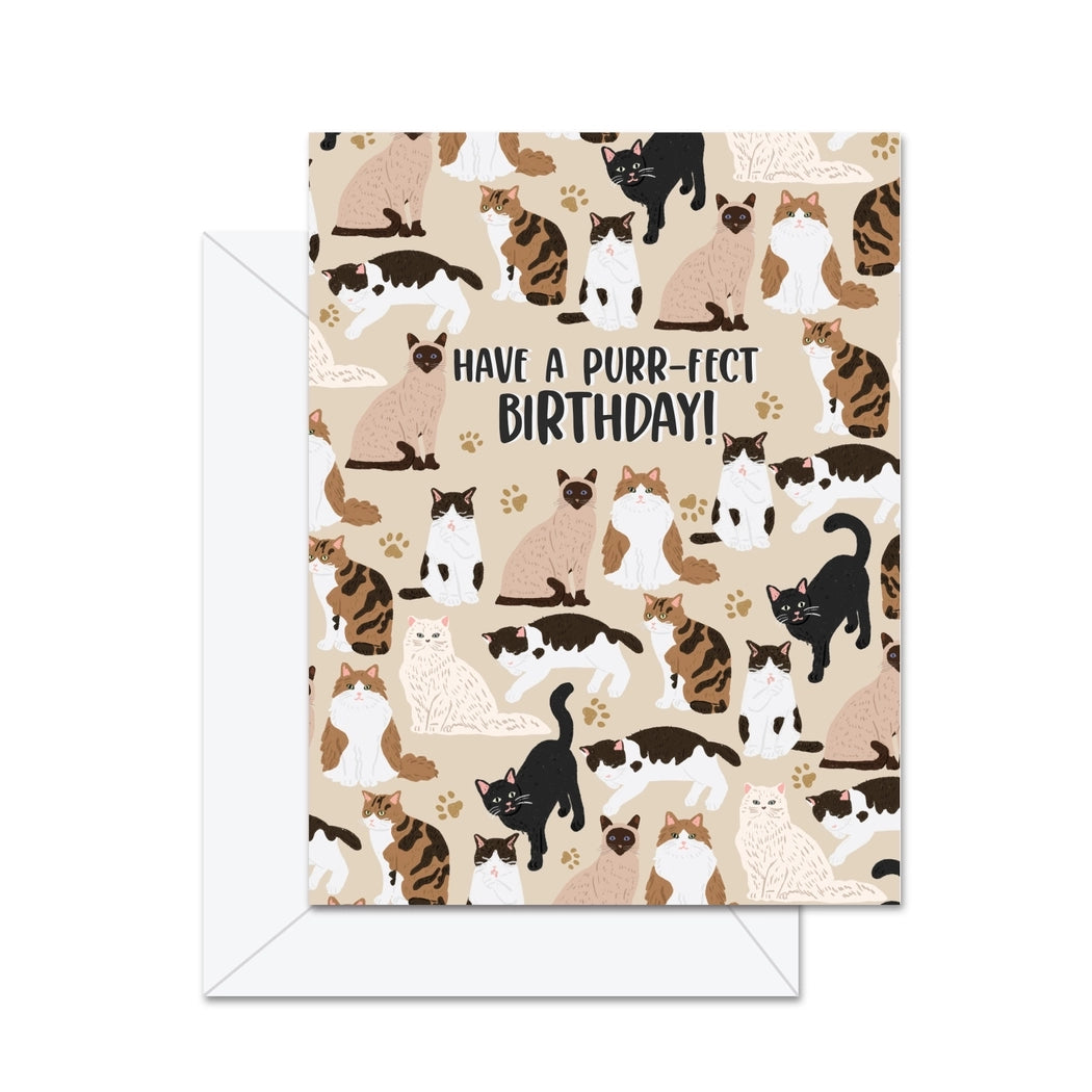 Purr-fect Birthday Card