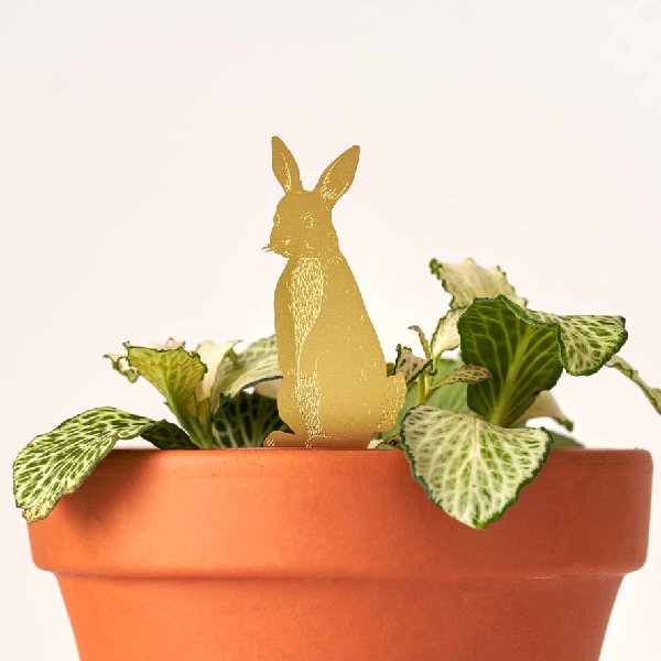 Rabbit Houseplant Decoration