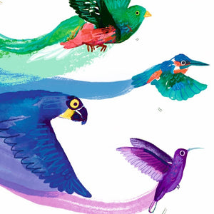 Close up of an art print featuring a colourful illustration of birds flying and forming a rainbow behind them on a white background. 