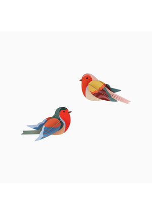Two 3D colourful robins on a white background.