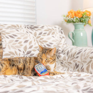 An image of a cat sitting beside a toy that looks like a tin of sardines. 