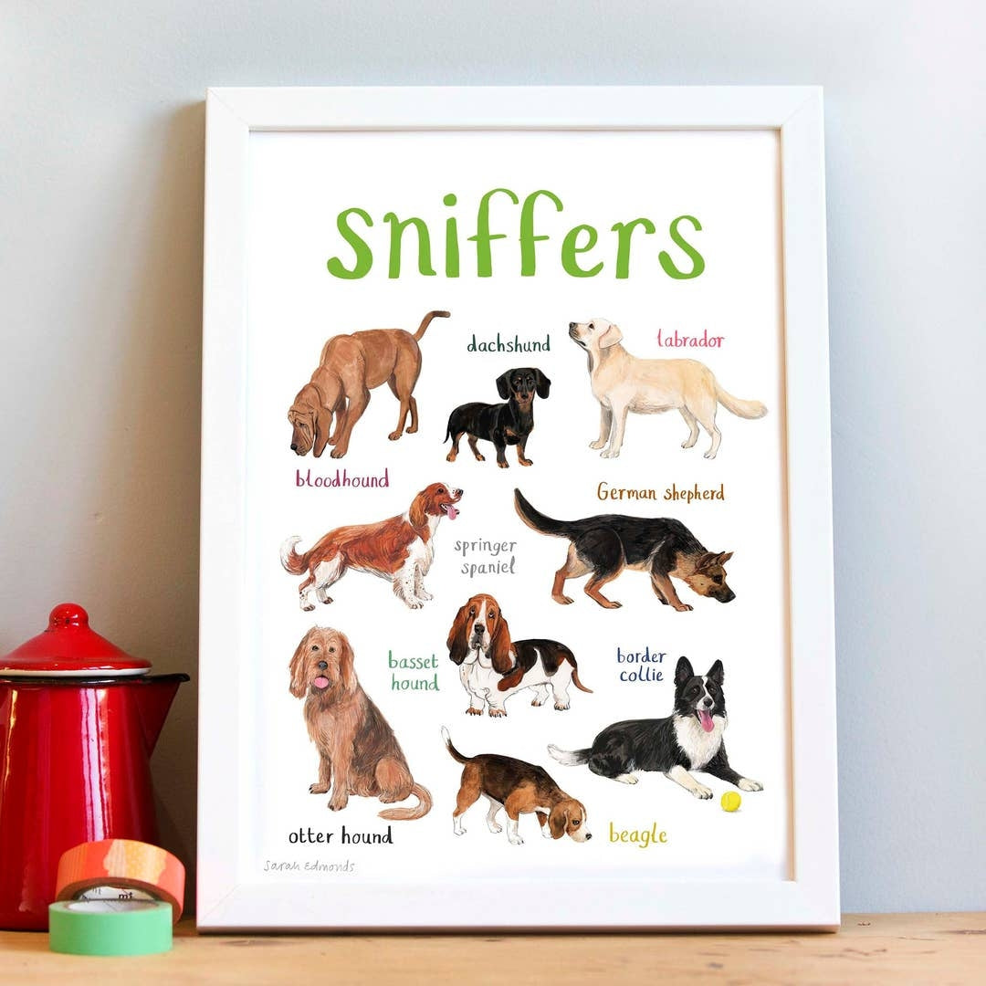An image of a framed art print with labelled illustrations of dogs. The text 'sniffers' is printed on top of the images. The print stands on a wooden surface against a white wall.