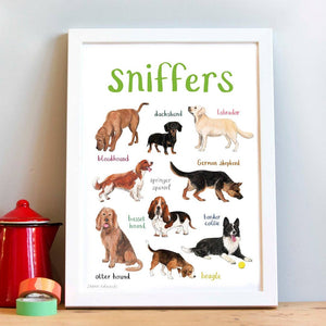 An image of a framed art print with labelled illustrations of dogs. The text 'sniffers' is printed on top of the images. The print stands on a wooden surface against a white wall.