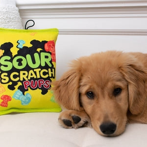 A yellow and green novelty toy designed to look like a Sour Patch Kids snack bag, shown from both sides. The logo for 'Sour Scratch Pups' is printed on the centre of the toy, while colourful illustrations of dog shaped candy surround the logo. The toy sits beside a golden retriever puppy. 