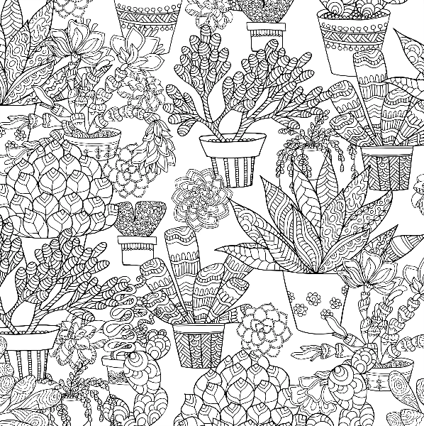 Succulents Colouring Book