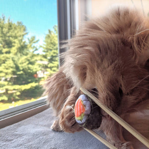 Image of a ginger cat biting a round cat toy that is designed to look like sushi. The sushi is held between two chopsticks as the cat bites it. The cat look very happy. 