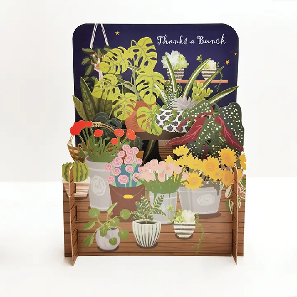 miniature pop up card depicting a scene of pottend plants on a wooden floor. a night-like background reads "thanks a bunch"