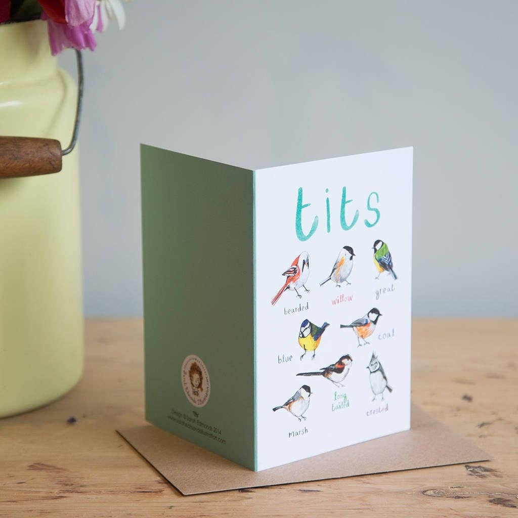 Greeting card featuring illustrations of birds on a white background. The heading 'tits' is printed at the top of the card while each of the images are labelled with smaller text. The card stands on top of a brown envelope on a wooden surface.