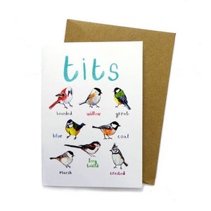 Greeting card featuring illustrations of birds on a white background. The heading 'tits' is printed at the top of the card while each of the images are labelled with smaller text. The card lies on top of a brown envelope on a white surface.
