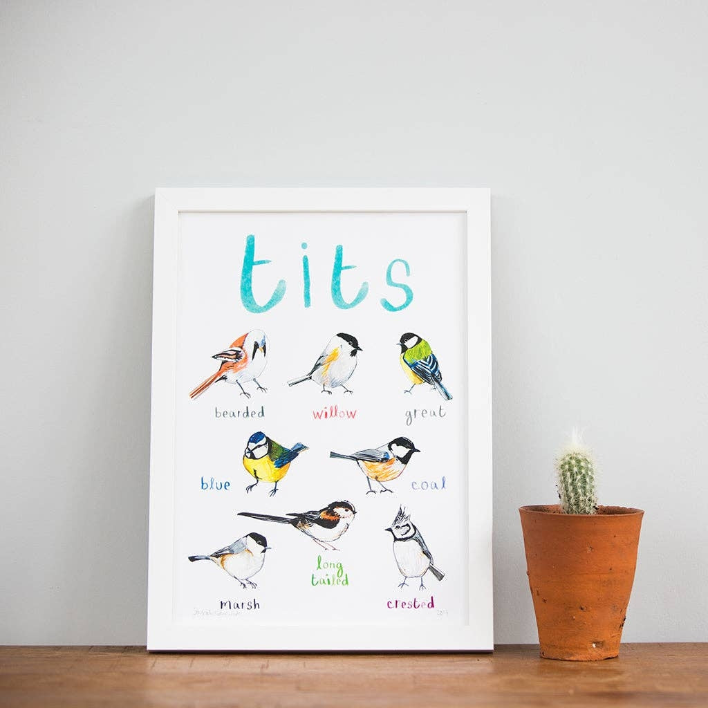 An image of an art print with labelled illustrations of birds. The text 'tits' is printed on top of the images. The print is in a white frame and stands on a wooden surface, beside a potted cactus.