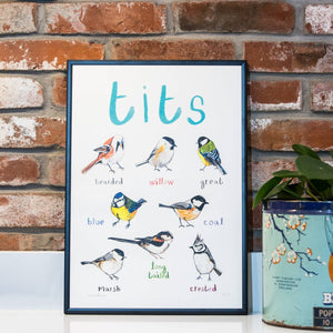 Image of an art print with labelled illustrations of birds. The text 'tits' is printed on top of the images. The print is in a black frame and stands on a white surface, against a red brick wall.