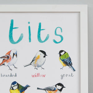 Closeup image of an art print with labelled illustrations of birds. The text 'tits' is printed on top of the images. The print is in a white frame.