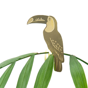 Toucan Houseplant Decoration