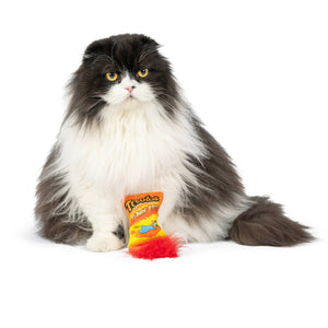 Image of a black and white cat sitting behind a toy that is designed to look like a pack of Cheetos. 