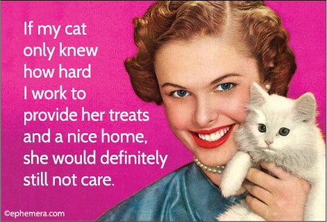 If Only My Cat Knew Magnet