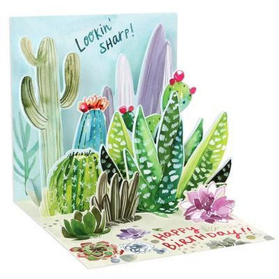Cacti - 1231