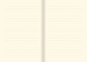 Guilded Ivory Small Journal