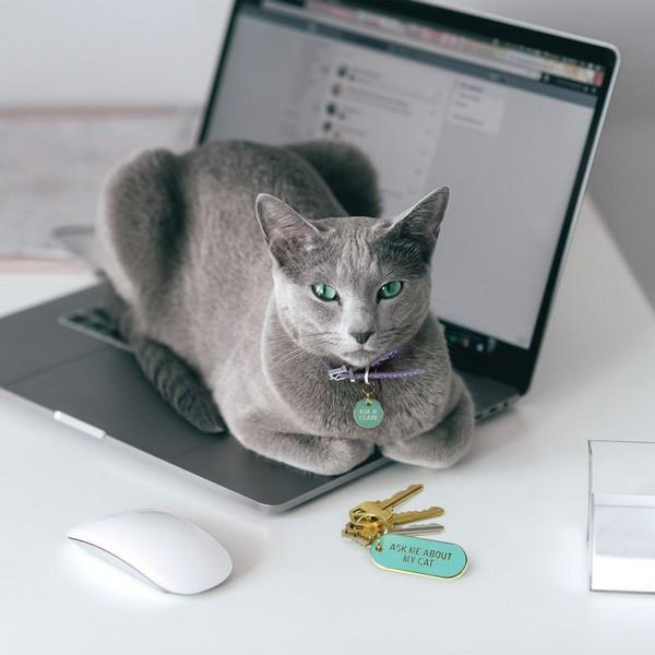 Fred & Friends Keychain Set | Ask Me About My Cat People + Pet Tags