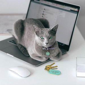 Fred & Friends Keychain Set | Ask Me About My Cat People + Pet Tags