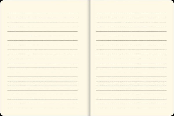 Reflections Small Journal