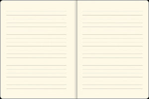 Reflections Small Journal