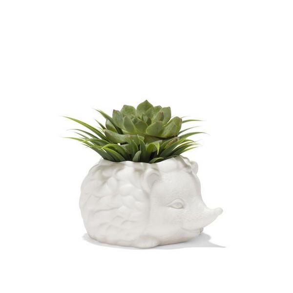 Prickles the Hedgehog Planter