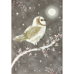 Starry Night Owl Holiday Boxed Cards | Set of 20