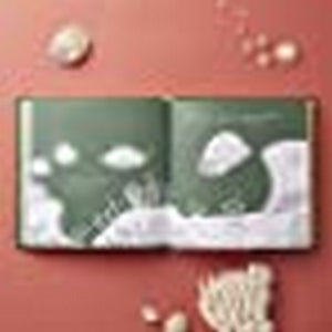 Turtle's Guide to Introversion